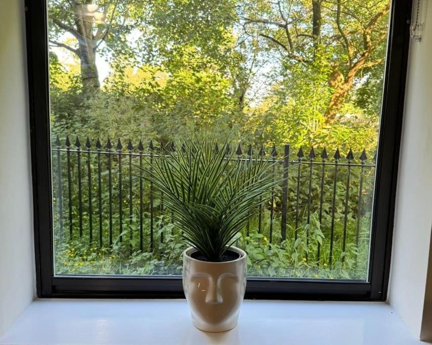 Polly'S Place Apartment Taunton & Free Off Road Parking & Wifi Eksteriør billede